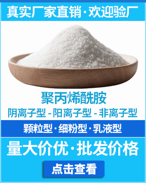 聚丙烯酰胺廠(chǎng)家推薦