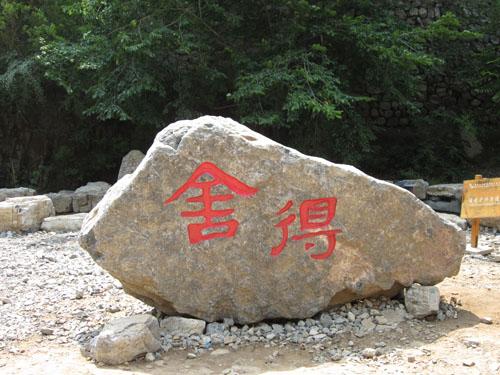 舍得